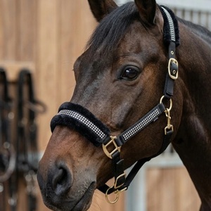 Licol de cheval en nylon premium avec ferrures en laiton et strass, robuste et confortable pour l'entraînement, vente en gros d'articles d'équitation - Product Image 3