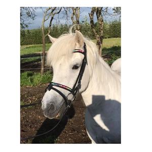 Brida para Caballo Rub International Modelo 7860B de Cuero Ligero, Cómodo y de Alta Calidad, con Cabezal para Salto y Correa de Nariz Personalizable - Product Image 1