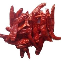 Piment rouge Teja sans tige disponible pour l'exportation - Product Image 6