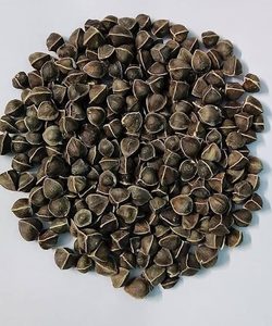 เมล็ดมะรุมสมุนไพรเกรดอาหาร - Product Image 3