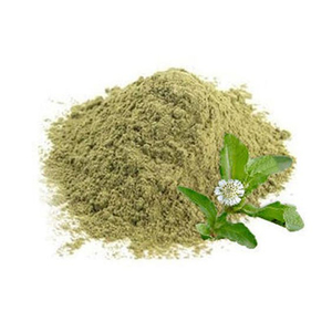 Poudre de Bhringraj de haute qualité, qualité cosmétique, extrait naturel de feuilles en poudre pour cheveux, anti-casse et fortifiant les racines, approvisionnement en vrac - Product Image 5