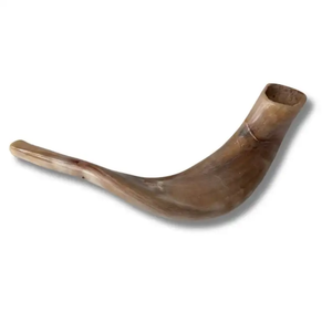 Shofar artisanal personnalisé en corne de bélier, instrument sonore religieux et cérémoniel, finition naturelle, décoratif, objet de collection élégant - Product Image 5