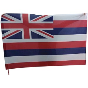 Drapeau national personnalisé double face en polyester pour affichage extérieur sur mât en aluminium, imprimé numériquement renforcé pour usage sportif - Product Image 4