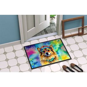 Hippie Dawg Non-Slip Indoor/Outdoor <b>Doormat</b> <b>Washable</b> Low Pile 24H X 36W Front Door Mat for Entryway - Product Image 4