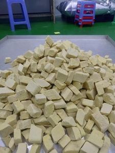 Durian Liofilizado Premium, Material de Fruta Natural de Vietnam para Producción de Snacks, Cobertura para Postres, Suministro de Ingredientes Alimenticios - Product Image 5