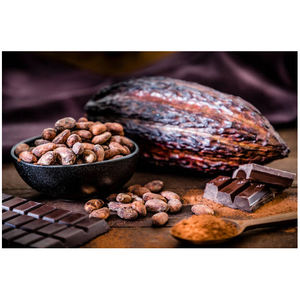 Granos de Cacao Secos de Calidad / Granos de Cacao - Product Image 6