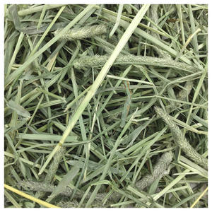 Heno Timothy de Alto Contenido de Fibra para Animales Pequeños, Bolsa de 20 kg, Proveedor Mayorista, Envío Global - Product Image 4