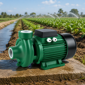 Pompe électrique monophasée 1.5DK-20, pompe centrifuge de couleur verte, pompe centrifuge d'irrigation, pompe électrique 1 CV - Product Image 3