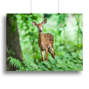 Milky Way Sky Decorative Sticker <b>Canvas</b> Print or Poster - Product Image 1