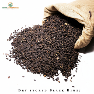 วัตถุดิบอาหารเสริมย่อยอาหาร Black Terminalia Chebula - Product Image 1