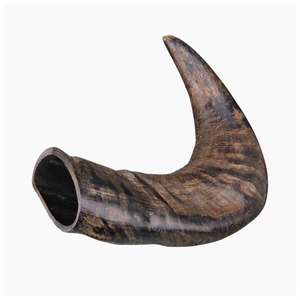 FAIZA CRAFT - Hueso de Búfalo Seco Ecológico para Perros, Comida para Mascotas con Diseño Feng Shui, 100% Natural - Product Image 2