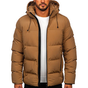 Veste d'hiver courte en duvet pour homme, marron, à séchage rapide, confortable, à capuche, coupe-vent - Product Image 1
