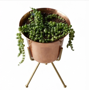 Jardinière Métallique Plaquée Cuivre avec Support, Meilleure Vente, Décoration Intérieure pour Jardin et Salon - Product Image 3