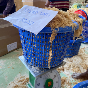 Mousse de mer séchée au soleil naturelle d'origine vietnamienne pour la cuisine végétalienne et l'apport de minéraux essentiels aux repas quotidiens - Product Image 6