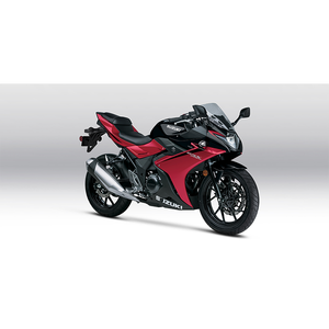 2026 Suzuk_i GSX250R ABS - Product Image 2