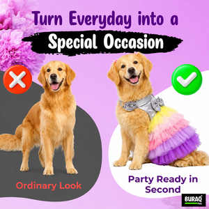 Robe de Soirée de Mariage pour Chats et Chiens 2.0 OEM ODM Logo Personnalisé Vêtements Formels de Luxe pour Animaux de Compagnie Fabricant Direct - Product Image 4