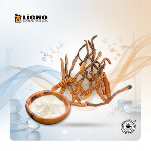LiGNO OCS02 Polvo de Ophiocordyceps Sinensis |   Fabricación OEM/ODM |   Ingrediente de Suplemento Dietético para Bebidas Funcionales HALAL | - Product Image 1