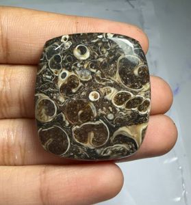 หินอาเกต TURRITELLA แบบคาโบชอง ขายส่งเป็นล็อตตามน้ำหนัก มีรูปทรงและขนาดต่างๆ ใช้สำหรับทำเครื่องประดับ - Product Image 2