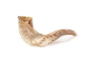 Shofar authentique en corne de bélier polie, style naturel, pour la cérémonie de prière juive traditionnelle, instrument de soufflerie, objet d'art de collection - Product Image 4