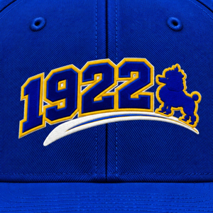 หมวกแก๊ป Snapback Sigma Gamma Rho แบบสั่งทำสำหรับผู้หญิง หมวกเบสบอลปักลายสมาคมนักศึกษากรีก ปรับขนาดได้ ปีกแบน สไตล์สตรีทแวร์ ขายส่ง - Product Image 6