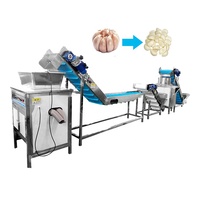 Machine automatique de poudre d'ail TCA 200-500 kg/h ligne de production d'épluchage d'ail de Type chaîne électrique commerciale de productivité élevée