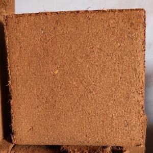 Bloque de 5 kg de fibra de coco (Coco Peat) para exportación desde India - GEEWIN EXIM - Product Image 1
