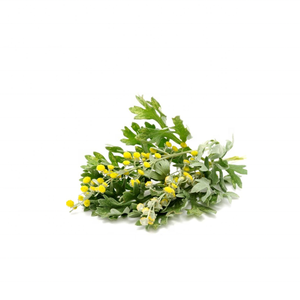 Kanha Nature Oils Top Grade 100% Hydrosol d'absinthe pure Huile essentielle Insectifuge Toner Fourniture OEM Prix de gros en vrac - Product Image 4