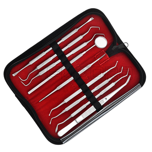 Juego de 9 Instrumentos Manuales de Titanio para Higiene Bucal, Estuche con Herramientas Dentales para Limpieza de Dientes y Encías, Removedor de Sarro, Cálculos y Placa, Quirúrgico - Product Image 6