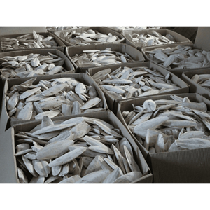 Os de seiche séché, matériau de coquille de sépia pour accessoire de mastication pour oiseaux et utilisation décorative en aquarium, Vietnam - Product Image 3