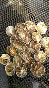 Rodajas de Limón Deshidratadas de Alta Calidad, Fruta Cítrica Natural de Vietnam, Decoración, Suministro a Granel para Exportación - Product Image 1