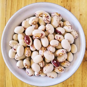 Haricots Sucrés de Haute Pureté à Faible Teneur en Impuretés Étrangères, Soigneusement Traité pour une Approvisionnement Fiable en Ingrédients en Vrac - Product Image 1