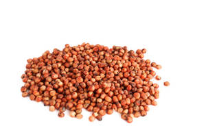 Grano de Sorgo Rojo para Alimentación de Ganado, Grado Alimenticio, Sin GMO, 12 Meses de Vida Útil, Hecho en India - Product Image 4