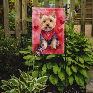 Norwich Terrier My Valentine Garden Flag Buzón multicolor Cartel decorativo para patio para ilustraciones de patio y camas de flores - Product Image 2