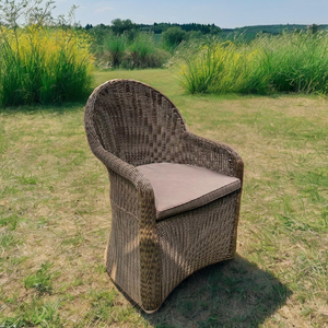 Muebles de mimbre para comedor exterior de diseño moderno, 6 sillas y 1 mesa Ovalada para uso en patio o escuela exterior de Park Hotel - Product Image 1