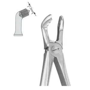 Pinzas de Extracción Dentales DENTRIC IMPLANTS ENGLISH PATTERN, Instrumentos Quirúrgicos Dentales de Calidad Estándar - Product Image 4