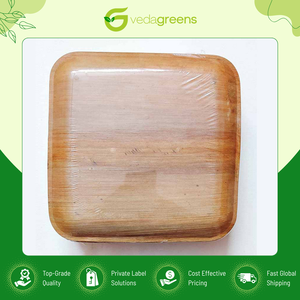 Assiette carrée biodégradable en fibre de palmier d'Inde, best-seller, disponible en plusieurs tailles, idéale pour les cadeaux d'affaires et le camping - Product Image 2