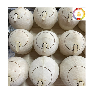 Noix de coco fraîche |   Capuchon à ouverture facile |   Boisson Pratique |   Idéal pour une utilisation en extérieur et à la plage |   Produits en vrac du Vietnam - Product Image 2