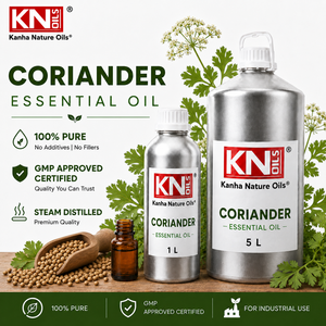 ผู้ผลิตน้ำมันหอมระเหยจากเมล็ดผักชีบริสุทธิ์ 100%  Coriandrum sativum ได้รับการรับรองออร์แกนิก เกรดเครื่องสำอาง ผู้ส่งออกขายส่ง - Product Image 2