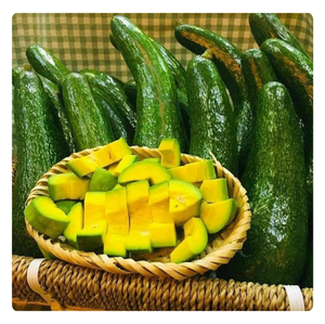 PULPA DE AGUACATE CONGELADA DE ALTA CALIDAD-PRODUCTO DE VIETNAM-MEJOR PRECIO - Product Image 3