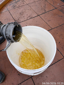 Refined White Coconut Oil 1L Bulk Supply-Common & Organic Cooking Grade <b>Drum</b> & <b>Plastic</b> Bottle Options - Product Image 2