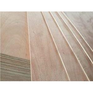 Madera Contrachapada de Eucalipto Ligera de Primera Clase, Diseño Moderno, Embalaje para Exteriores, Venta al por Mayor, Aseanwood, Vietnam - Product Image 1