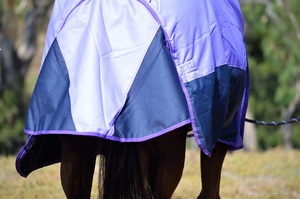 Couverture pour cheval, accessoires équestres, tapis anti-mouches pour cheval, couverture d'extérieur en maille avec cache-cou pour l'été - Product Image 6