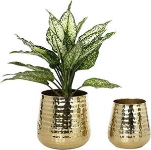 Maceta Dorada de Metal Única para Uso en el Hogar y Jardín, Regalo Ecológico con Diseño Moderno y Valor Decorativo y Funcional - Product Image 5