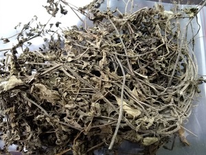 Planta de Gelatina de Hierba Seca Limpia de Vietnam, Planta Entera, Tono Oscuro Natural, Para Procesamiento de Bebidas - Product Image 3