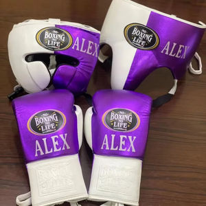 Professional Customisable Brand New Premium Quality Real Leather No Boxing No Life Boxing Set Martial Art Boxing Training Set. - Product Image 5