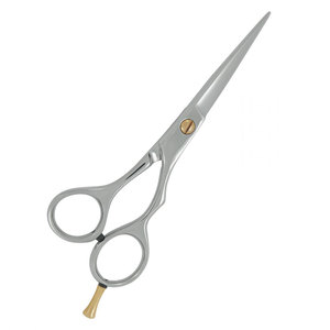 Tijeras de Peluquería Profesionales de Acero Inoxidable, Color Plateado, con Tornillo Dorado, Tijeras de Salón Premium para Cortar el Cabello - Product Image 2