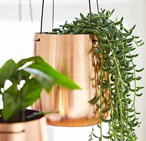 Pot de fleurs suspendu en métal plaqué cuivre moderne, écologique, petite capacité, pour plantes vertes d'intérieur, design minimaliste - Product Image 6