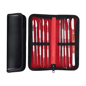 Ensemble de 12 outils de sculpture sur cire en acier inoxydable, kit d'équipement de laboratoire dentaire, instruments manuels professionnels pour dentistes - Product Image 4
