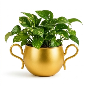 Maceta Moderna de Metal Dorado con Asas – Maceta Redonda Estilo Trofeo para Decoración de Escritorio - Product Image 6