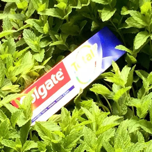 Colgate Charcoal <b>Toothpaste</b> for Deep Cleaning and Teeth Whitening Export Quality Supply - Product Image 2